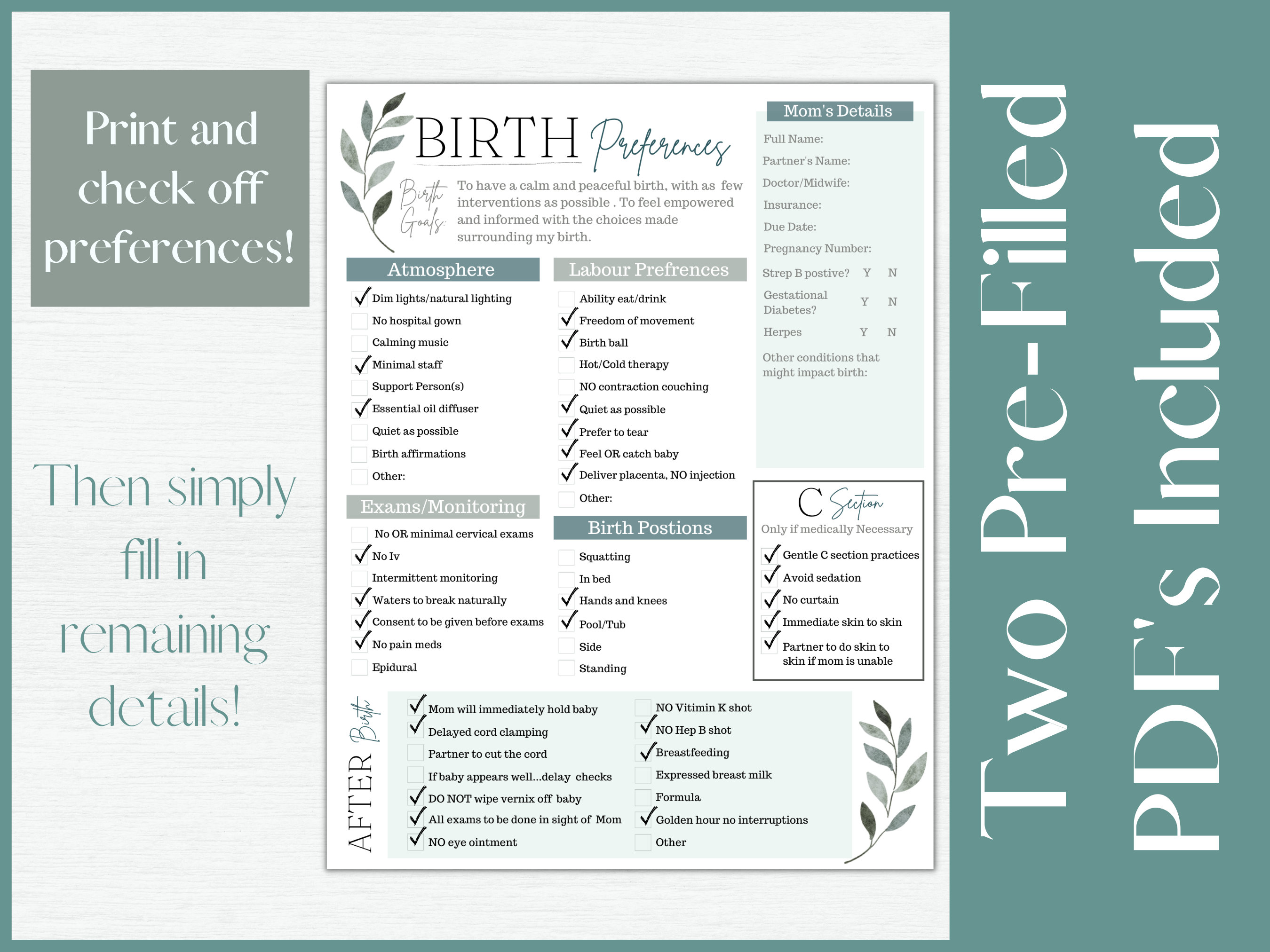 editable-birth-plan-template-printable-birth-plan-and-etsy-canada