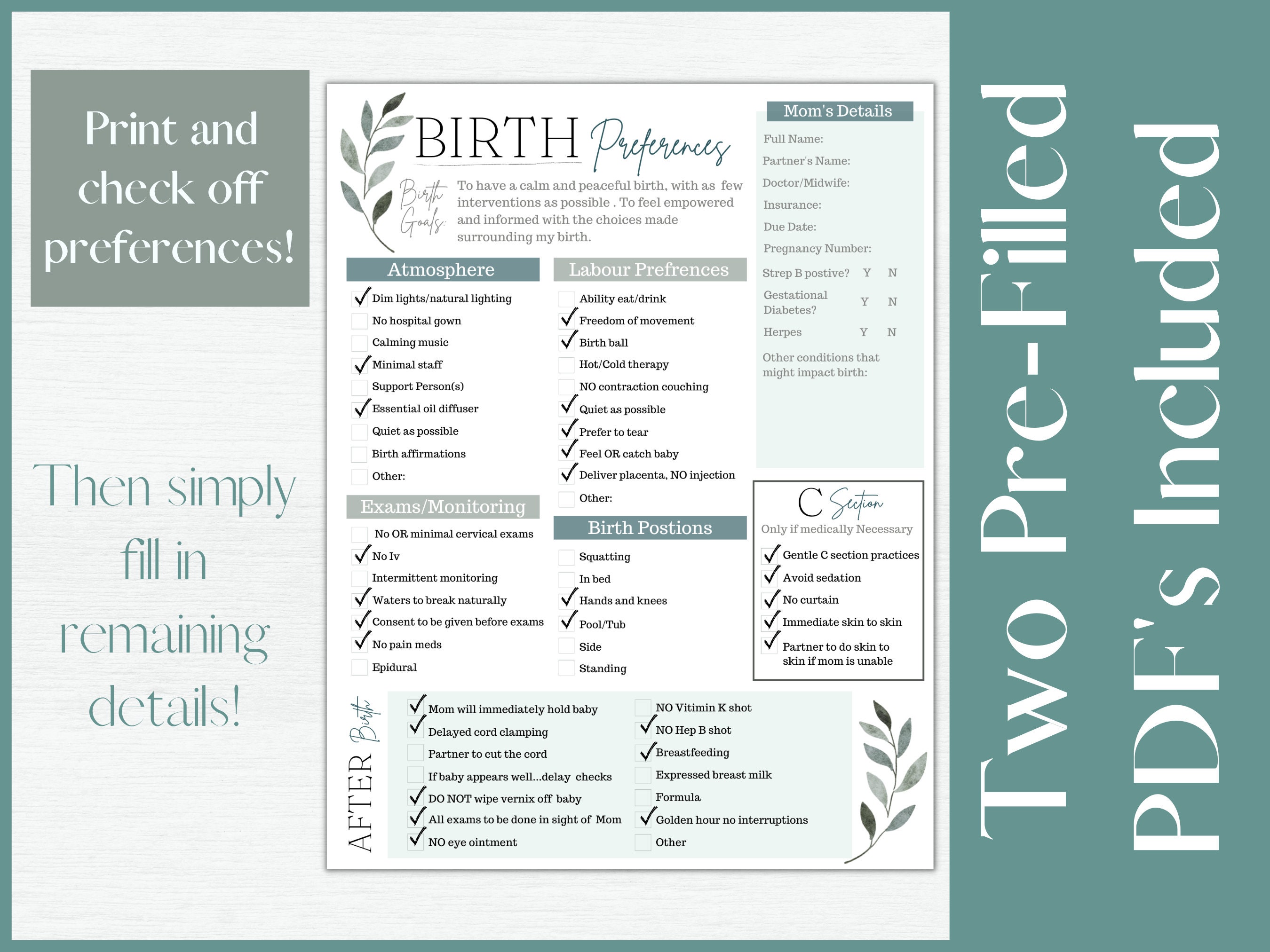 Editable Birth Plan Template Printable Birth Plan And Etsy Canada