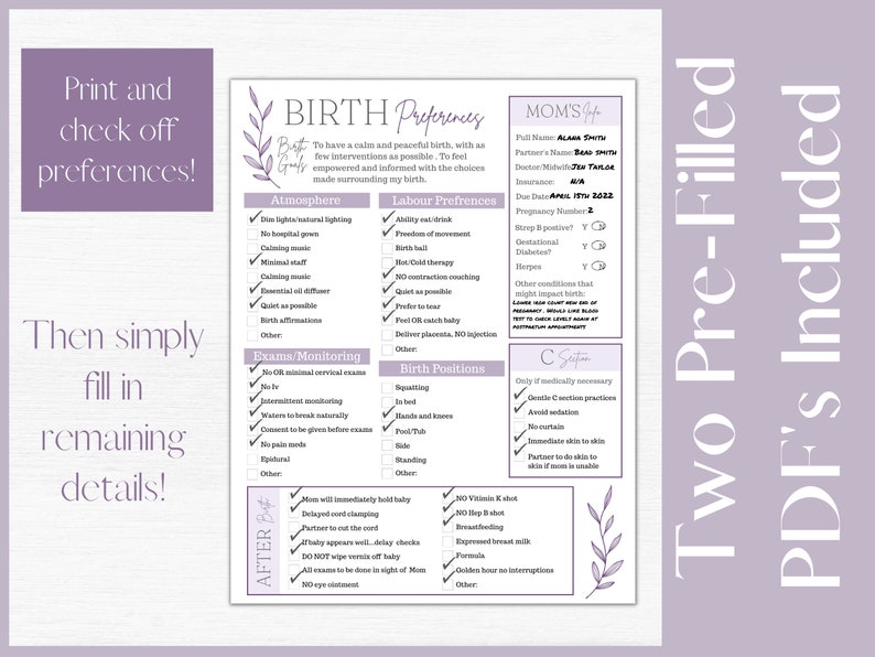 Editable Birth Plan Template printable Birth Plan Checklist - Etsy