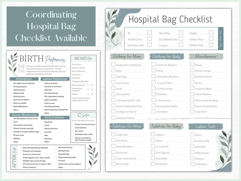 Editable Birth Plan Template printable Birth Plan Checklist - Etsy