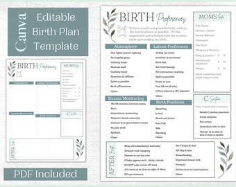 Bewerkbare geboorteplansjabloon | Afdrukbare checklist voor het geboorteplan