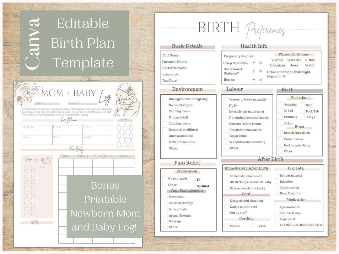 Editable Birth Plan Template and Printable Newborn Log Mini Birth ...