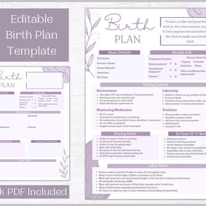 Editable Birth Plan Template | Printable Birthing Plan | Labour And Delivery Preferences Template