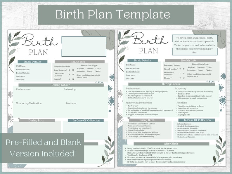 Editable Birth Plan Template and Hospital Bag Checklist Bundle - Etsy