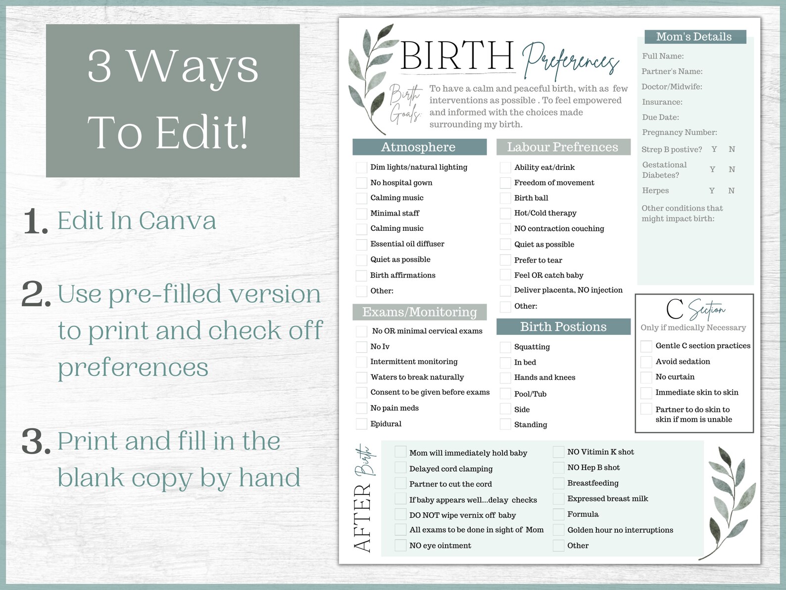 Editable Birth Plan Template Printable Birth Plan And Etsy Canada