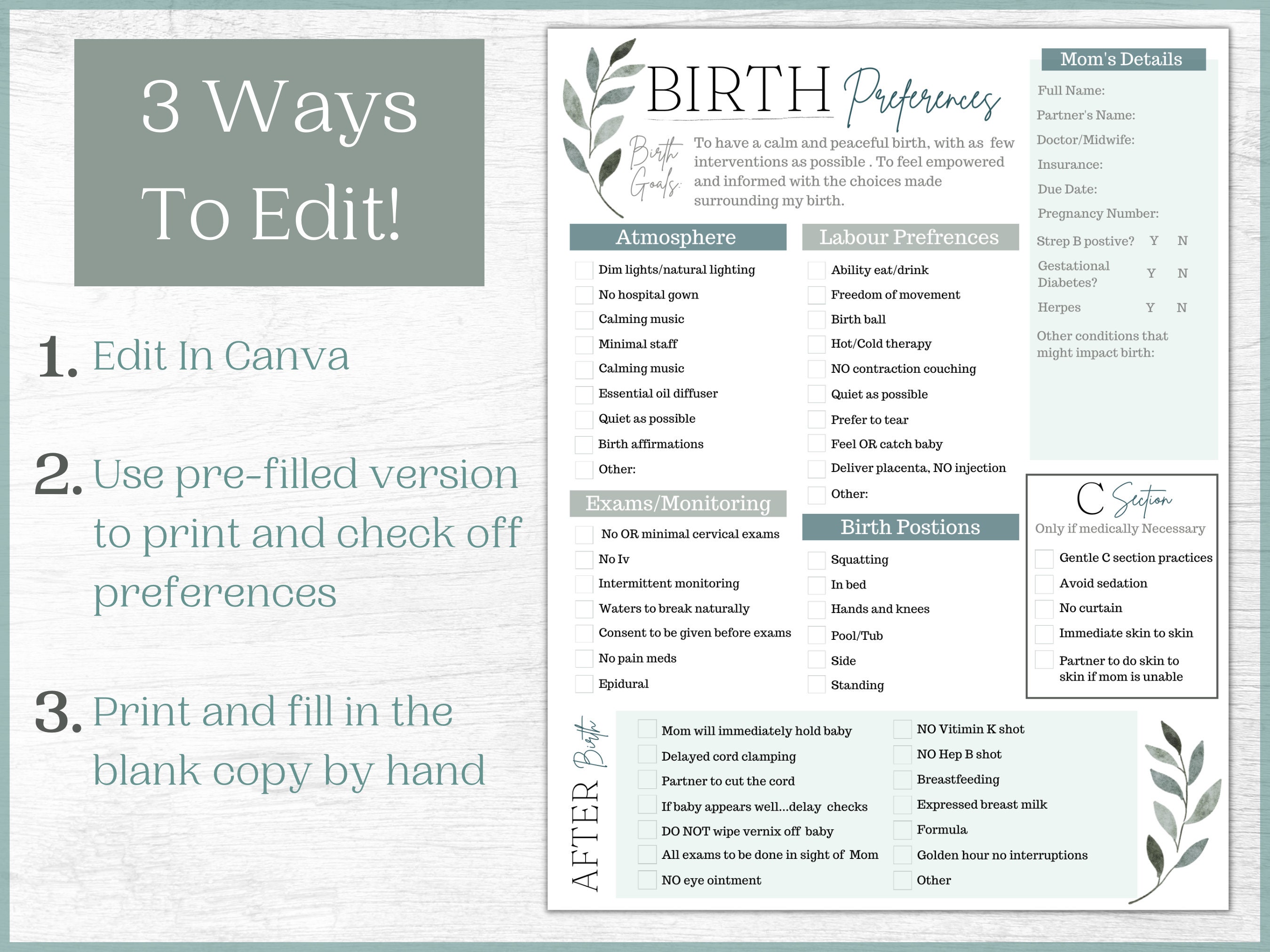 Editable Birth Plan Template Printable Birth Plan And Etsy Australia
