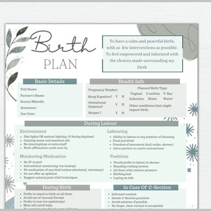 May include: A birth plan template with a watercolor floral design in shades of gray and green. The document includes sections for basic details, health information, and preferences for labor and delivery, such as environment, monitoring, and positions.
