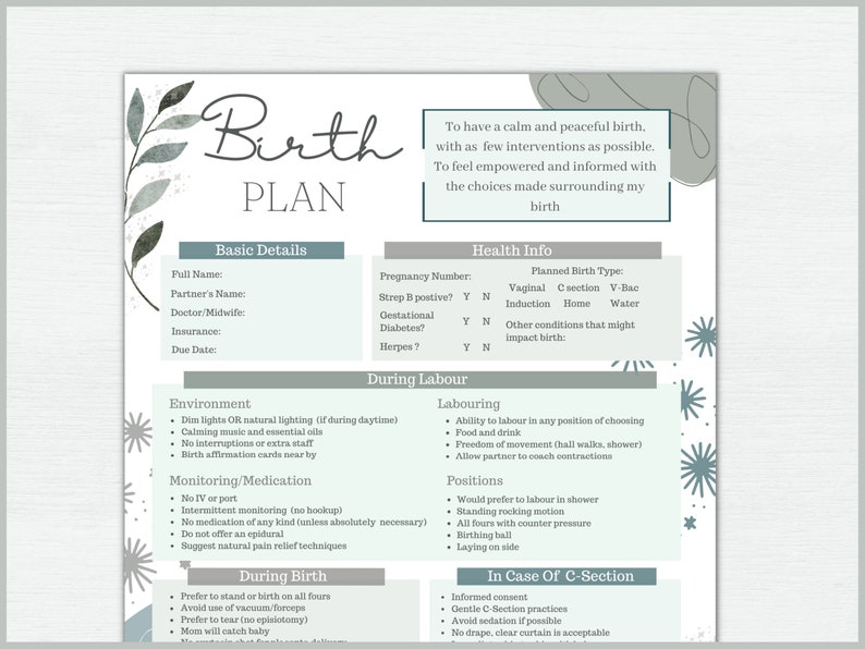 May include: A birth plan template with a watercolor floral design in shades of gray and green. The document includes sections for basic details, health information, and preferences for labor and delivery, such as environment, monitoring, and positions.