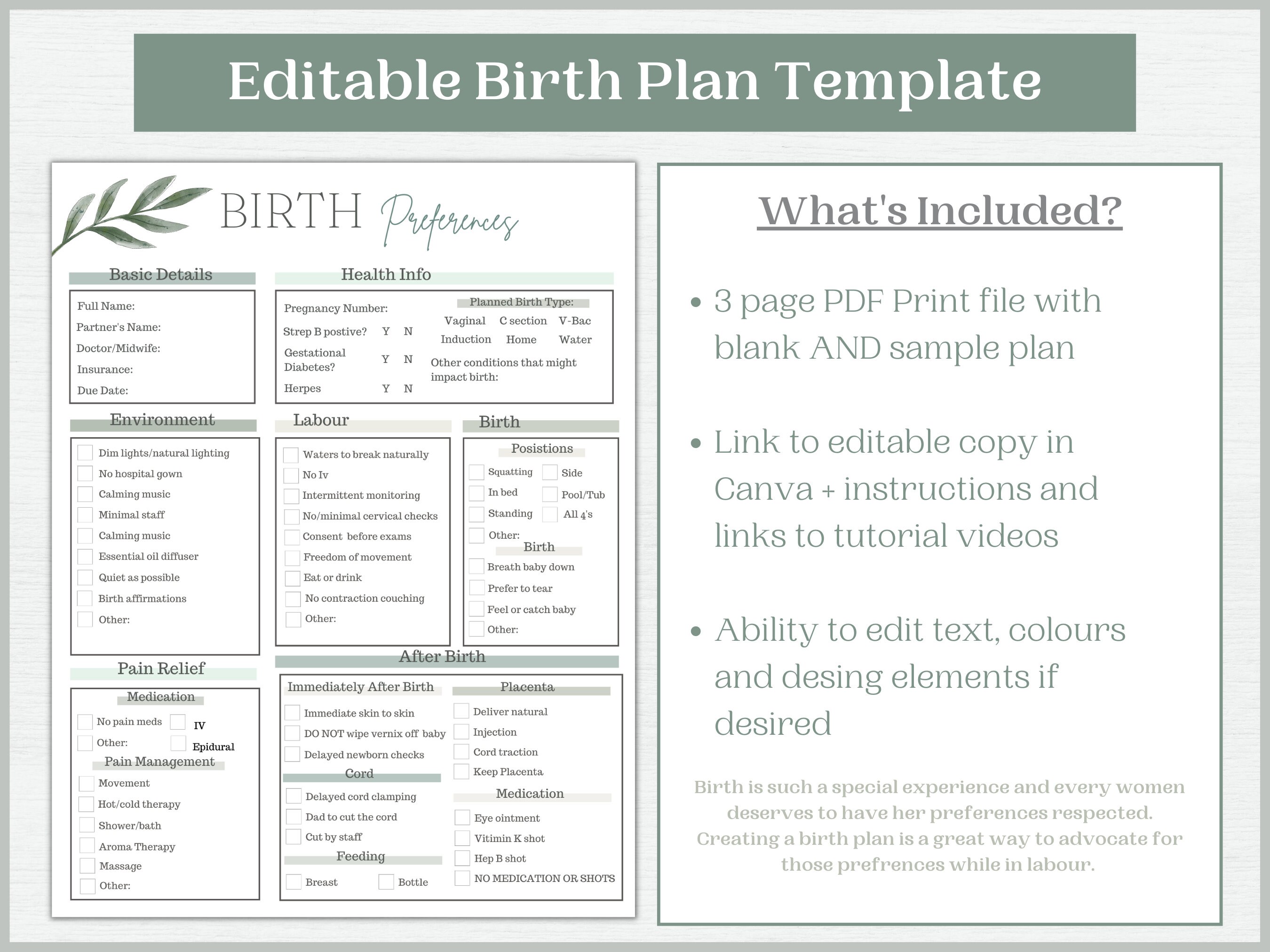 Printable and Editable Birth Plan Template Neutral Colours Birth Plan