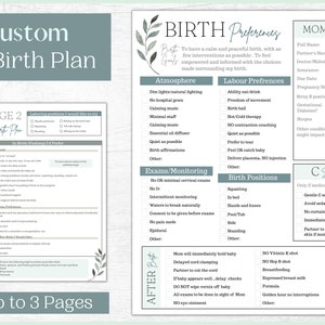 Custom Birth Plan Template