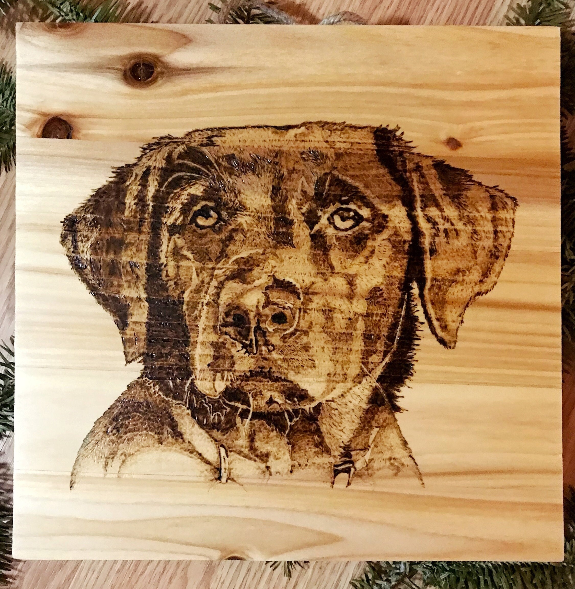 What Does It Mean To Pet A Burning Dog