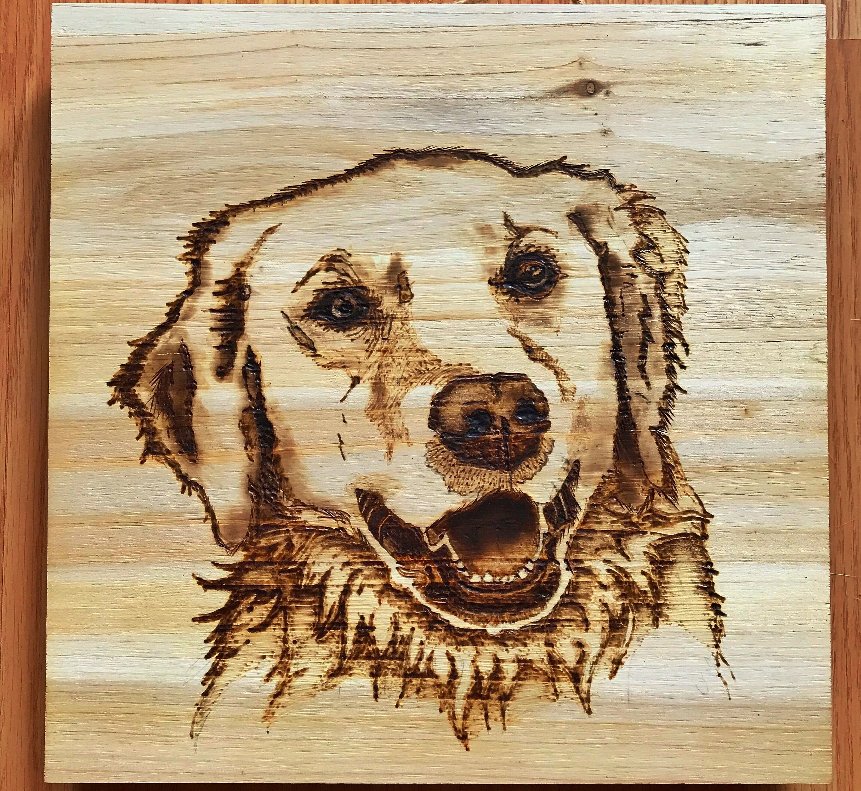 Can Dogs Eat Burnt Wood