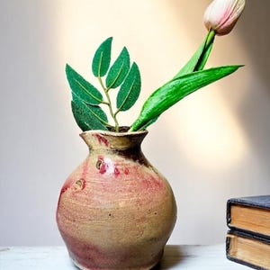 May include: A rustic, handmade ceramic vase with a light brown and red mottled finish. The vase holds a sprig of green leaves and a single pink and white tulip. A stack of books is visible in the background.