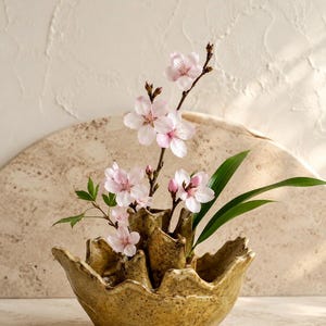 May include: A handcrafted, textured ceramic vase in a warm, earthy tone, holding delicate pink cherry blossoms and vibrant green leaves. The vase has a unique, organic shape, perfect for floral arrangements.