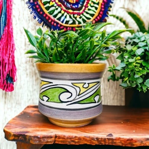 May include: A green and white ceramic planter with a wavy design. The planter is filled with green plants and is sitting on a wooden surface.