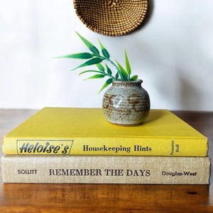 May include: Two vintage books stacked on top of each other. The top book is yellow and has the title "Heloise's Housekeeping Hints" printed on the spine. The bottom book is beige and has the title "Remember the Days" printed on the spine. A small, speckled, brown ceramic vase with a green plant sits on top of the books.