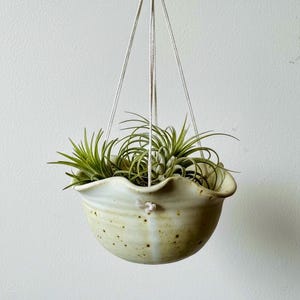 May include: A hanging ceramic planter with a scalloped rim and a speckled off-white glaze. The bowl-shaped vessel is suspended by thin white cords and contains several green air plants with pointed, slender leaves reaching outward.