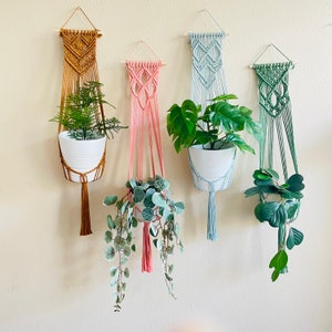 May include: Four macrame plant hangers with different colored cords and tassels. Each hanger is holding a potted plant. The plants are a variety of green foliage.