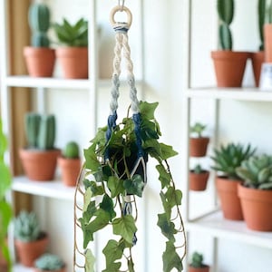 May include: A macrame plant hanger with a wooden ring, holding a black pot with green ivy. The rope is white, grey, and navy blue. The background shows a white shelf with terracotta pots containing cacti and succulents.