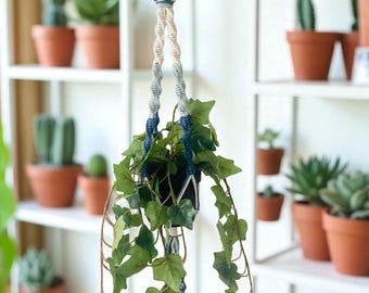 May include: A hanging macrame plant holder with a wooden ring and a black pot filled with green ivy. The macrame rope is white, gray, and navy blue. The background features a white shelf with several potted cacti and succulents.