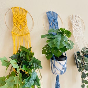 May include: Three macrame plant hangers with gold hoops, each holding a different plant. The hangers are in yellow, blue, and white.