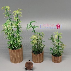 Miniature Dollhouse Bamboo Floor Plants