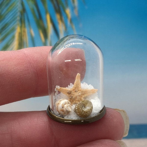 Miniature Dollhouse Coastal/Beach Glass Cloche/Dome Decor