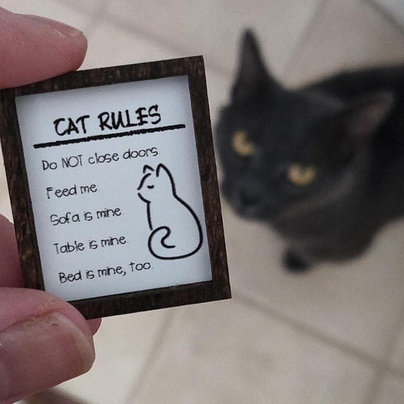 May include: A framed sign with the text "CAT RULES" and a list of rules for cats, including "Do NOT close doors", "Feed me", "Sofa is mine", "Table is mine", and "Bed is mine, too". A black cat is in the background, looking at the sign.