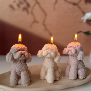 Handmade Puppy Candle - Dog Shaped Soy Wax Candle - Pet Lovers Gift - Poodle Mix Decor - Free Shipping