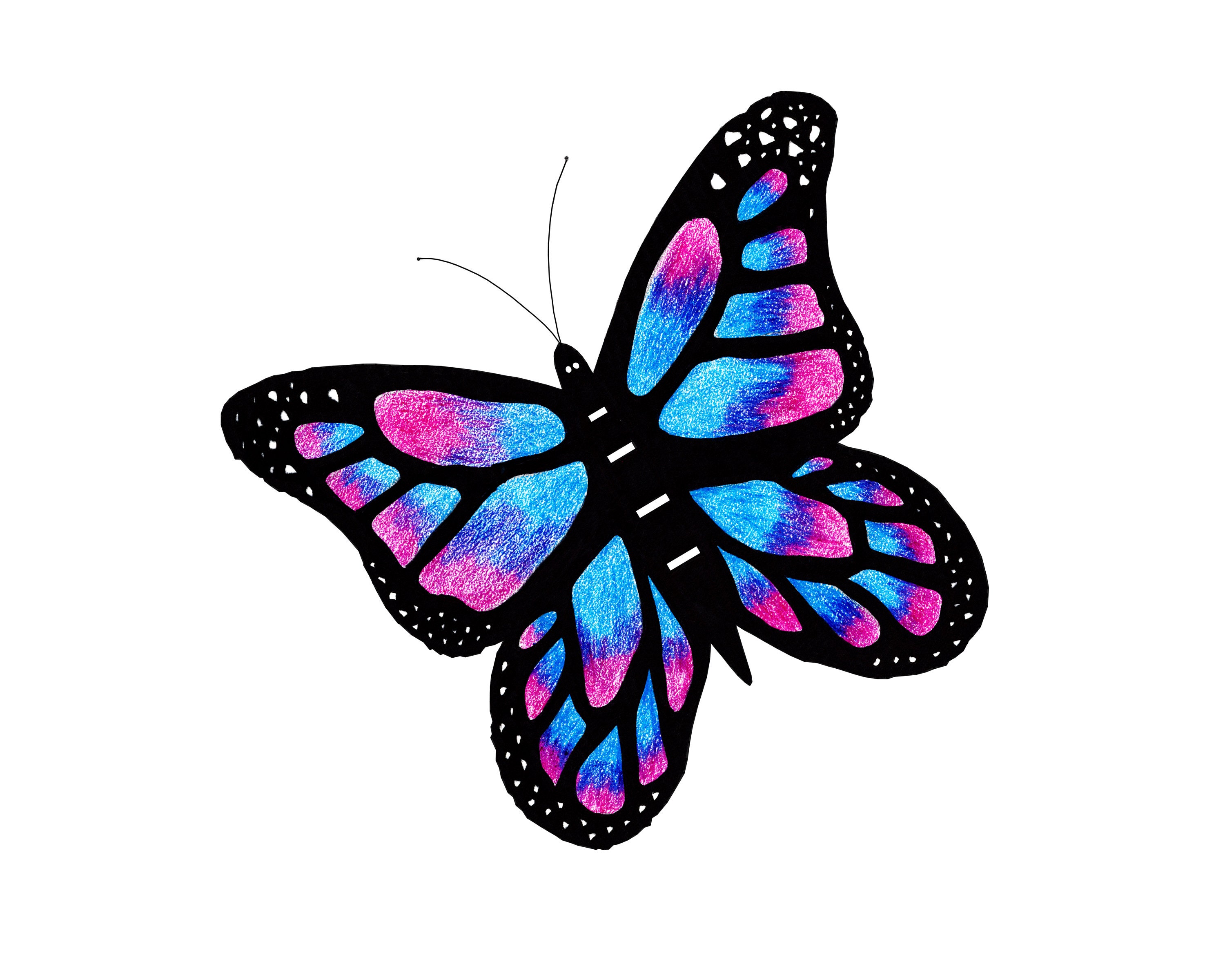 Butterfly Art Print Poster Set Nursery Decor Choose Etsy