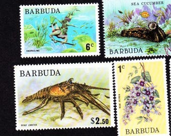 7 MINT BARBUDA CARIBBEAN Islands  Vintage Scarce Collector Set 7MBARA