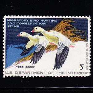 SCARCE U S 1974-1975 Federal MIGRATORY WATERFOWL (Duck) Stamp Unused Never Hinged  Beautiful