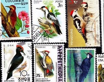 13 SPECHT der WELT Vintage gestempelte Briefmarken Sammlerset Stempelkunst rahmenbares Vogelbeobachter-Geschenk 13PCWB