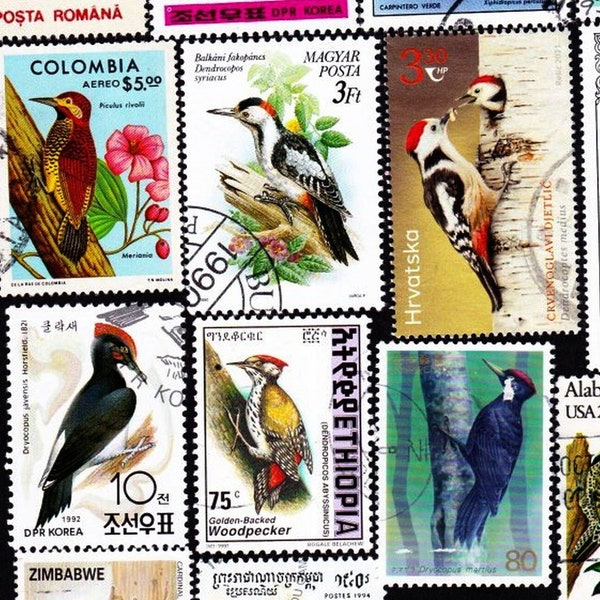 13 WOODPECKERS of the WORLD Vintage Cancelled Postage Stamps Collector Set Stamp Art frameable Bird Watcher gift 13PCWB