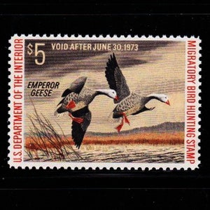 SCARCE U S 1974-1975 Federal MIGRATORY WATERFOWL (Duck) Stamp Unused Never Hinged  Beautiful