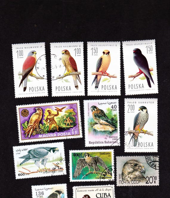Tous Monde 100 Timbres Divers – Lot De Timbres De Collection Pour Passionnés – Qualité Prophila Garantie