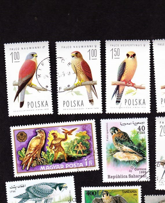 ISB Collection – Pochette De 100 Timbres D'oiseaux Différents – Collection Oblitérée – Qualité Exceptionnelle