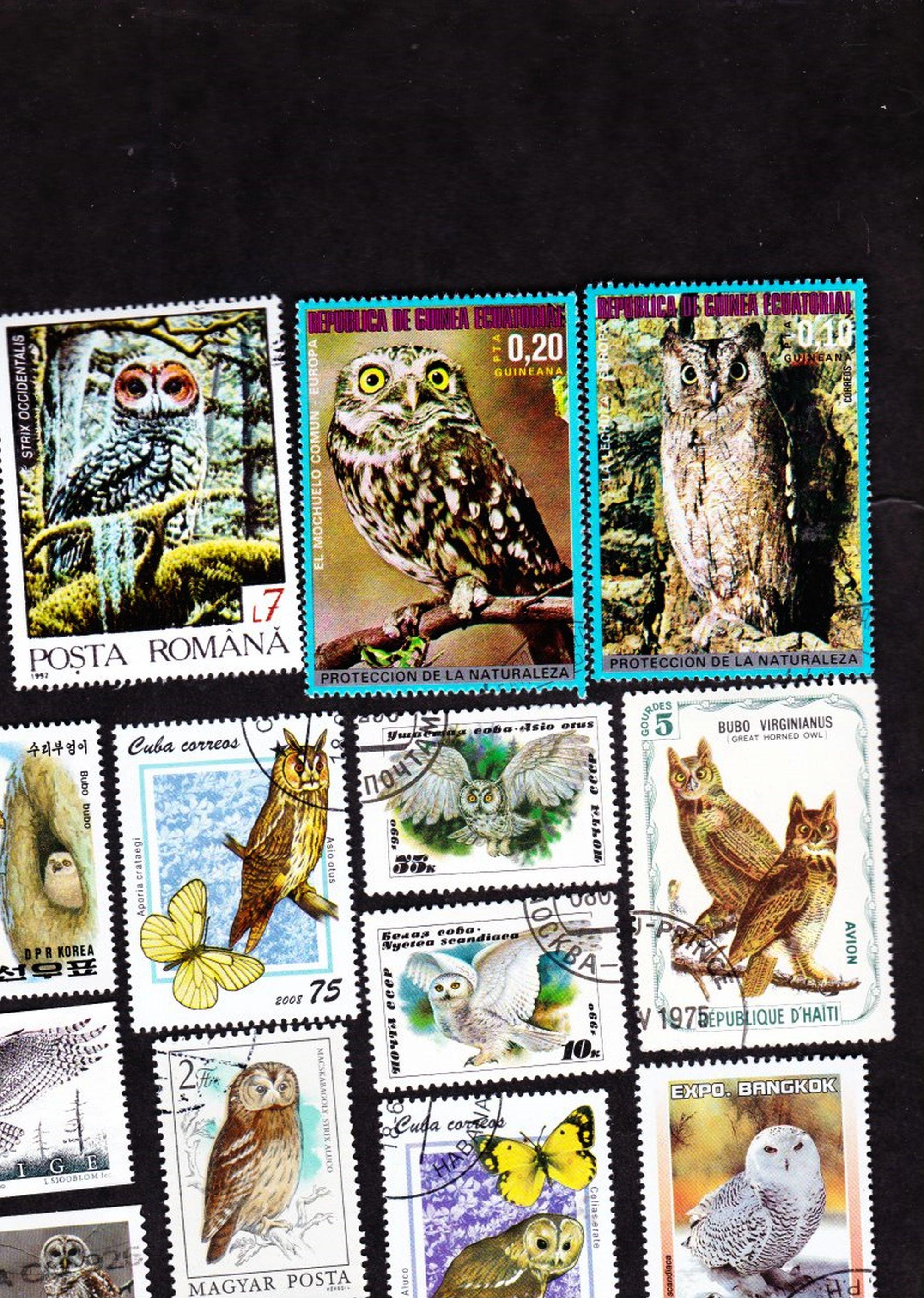 14 OWLS  Vintage World used Postage Stamps Collector Set  14OWLL