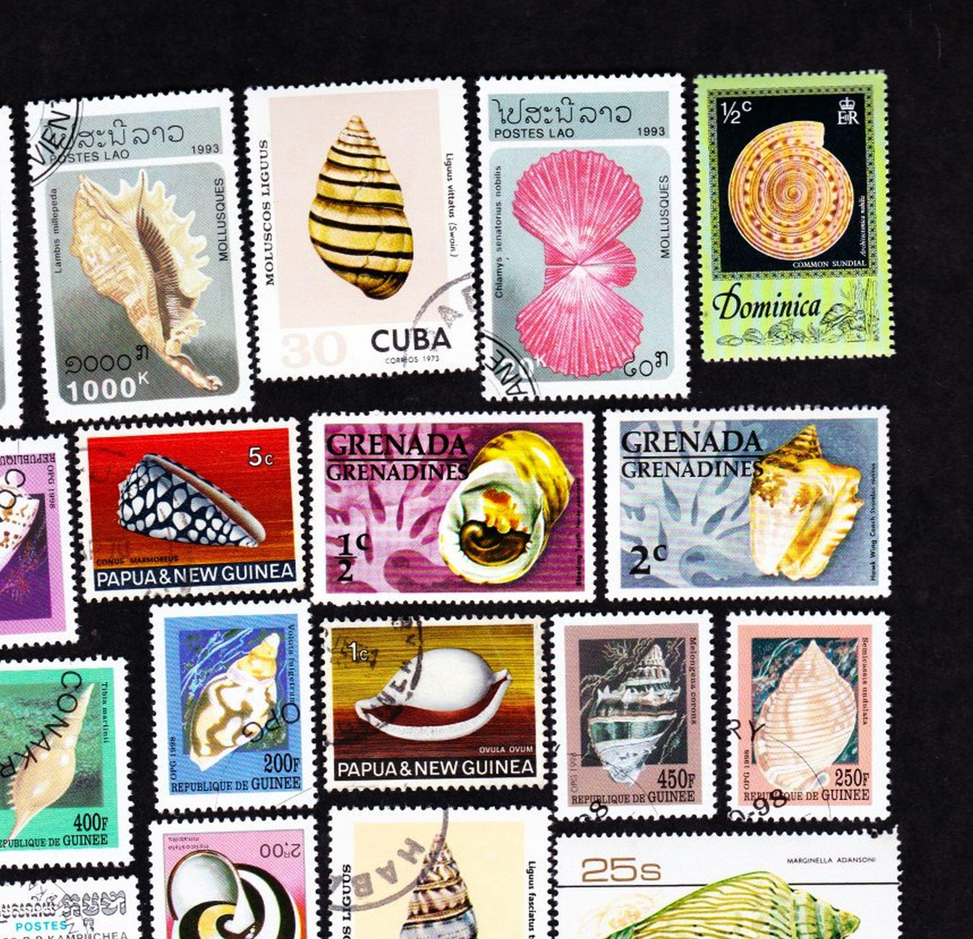 22 シーシェル ヴィンテージ 中古 世界切手 コレクターセット フレーム