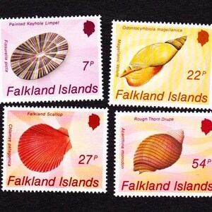 Peut inclure: Quatre timbres des îles Falkland représentant différents types de coquillages. Les timbres sont roses avec des bordures blanches et comportent le texte "Falkland Islands" et le prix de chaque timbre en pence. Les coquillages sont une patelle à trou de serrure peinte, une volute magellanique, une pétoncle des Falkland et une drupe à épines rugueuses.