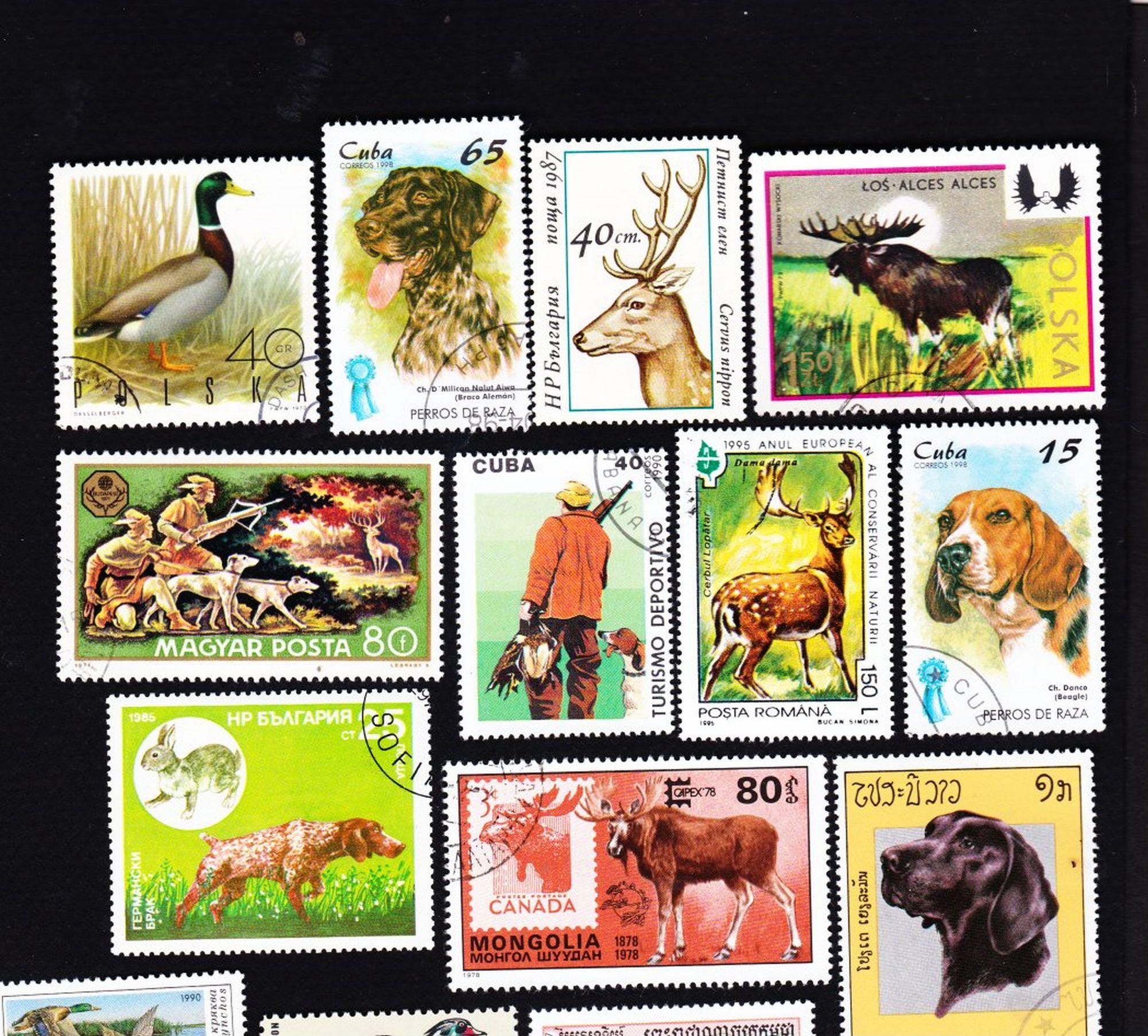 20 HUNTERS Their DOGS and Their GAME Vintage Used World Postage