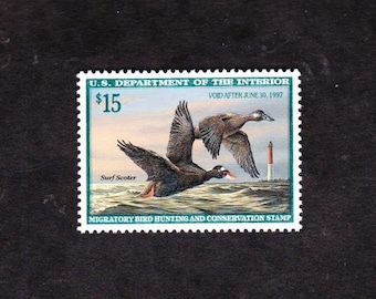 Vintage U S Federal 1996 MIGRATORY WATERFOWL (Duck) Stamp Surf Scoter Unused