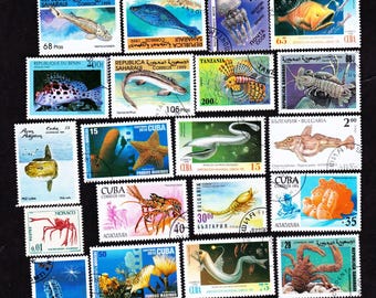 22 シーシェル ヴィンテージ 中古 世界切手 コレクターセット フレーム