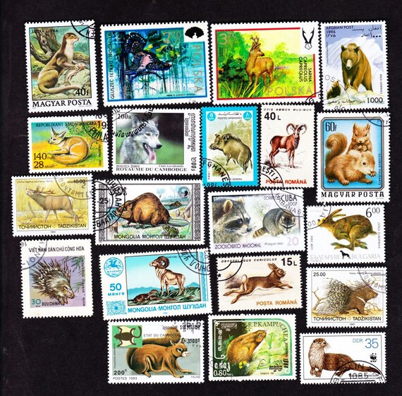 20 森の動物 アライグマ 鹿 ビーバー ヤマアラシ ヴィンテージ