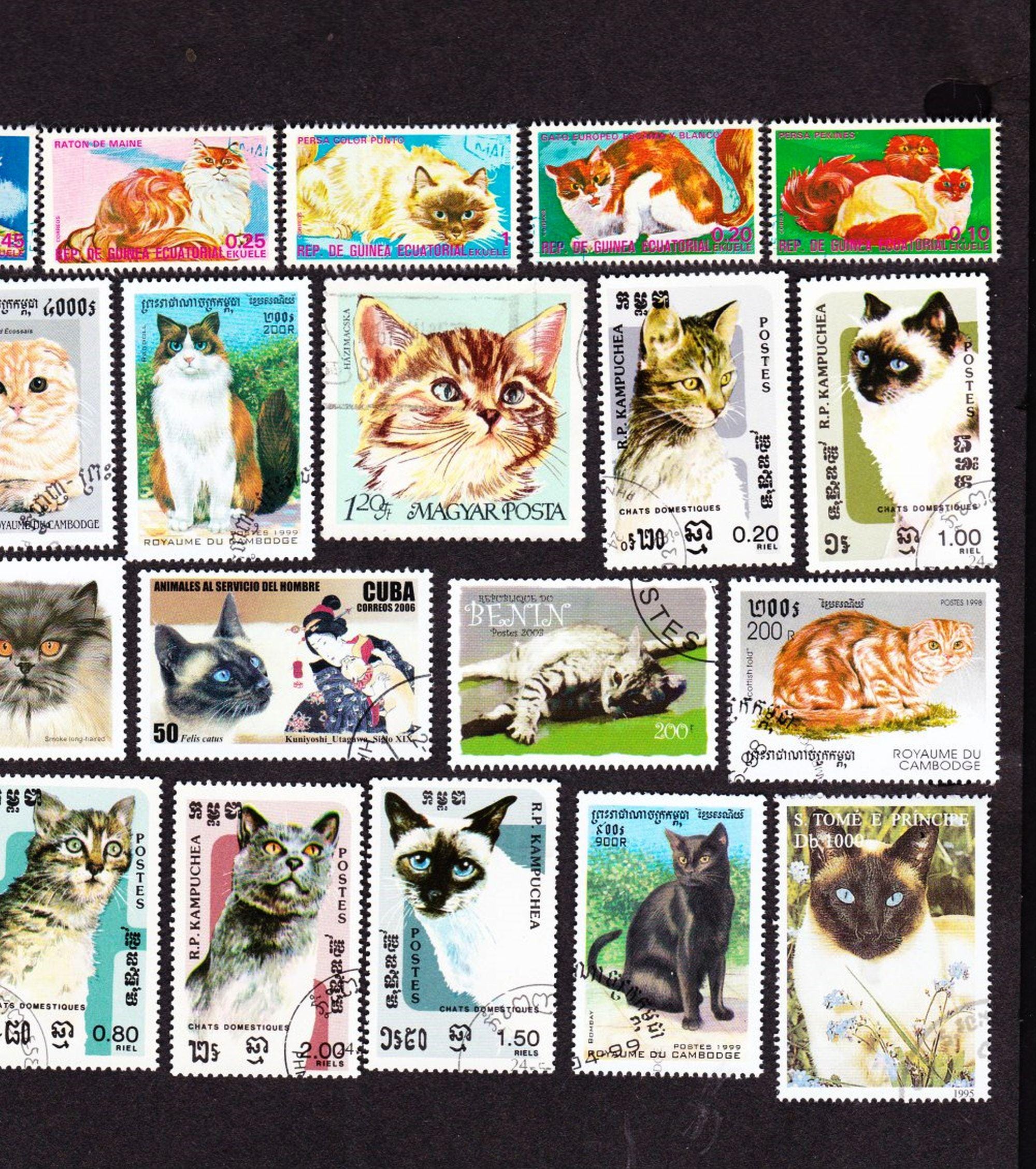 20 CATS and KITTENS Vintage Used Cancelled World Postage Stamps Collector Set Stamp Art Crafts  20KTNL