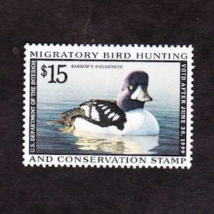 以下が含まれることがあります： 水面に浮かぶバローキンクロハジロを描いた切手。切手には「MIGRATORY BIRD HUNTING」と「U.S. DEPARTMENT OF THE INTERIOR」の文字が記載されています。切手の額面は15ドルで、「VOID AFTER JUNE 30, 1999」と記載されています。
