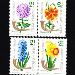 4 MINT HUGARY FLOWERS Vintage  Stamps 1963   Collector Set Frameable art for your favorite Flower Enthusiast 4MNFL