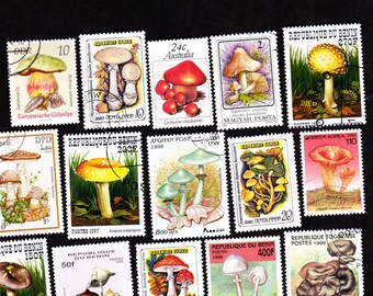 Set da collezione di 20 FUNGHI di francobolli vintage usati provenienti da tutto il mondo - Stamp Art 20SHMB
