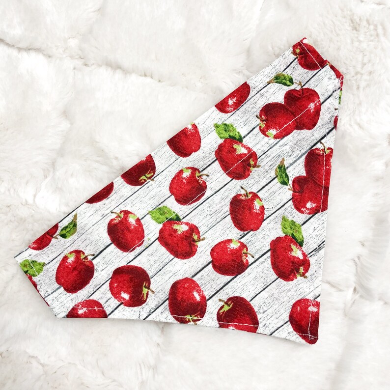 Apple Dog Bandana OVER THE COLLAR