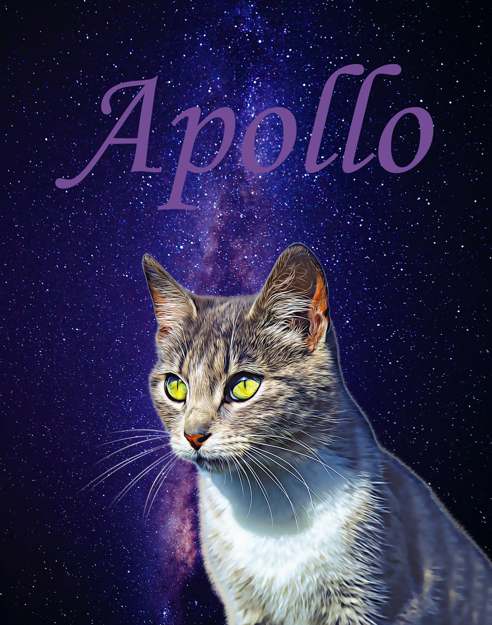 Digital pet portrait with galaxy background galaxy pet Etsy